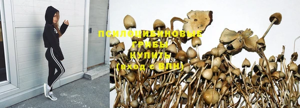 экстази Арсеньев